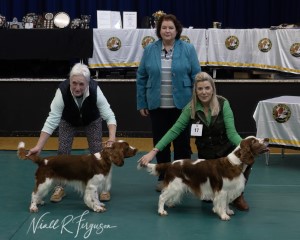 Best Special Dog or Bitch